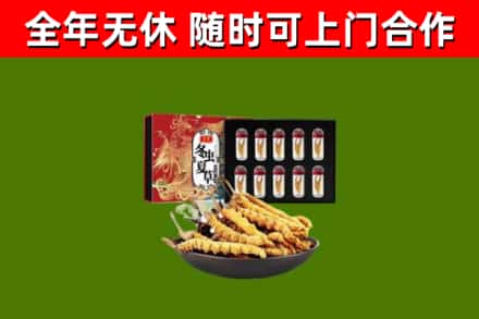 苗栗回收冬虫夏草价格